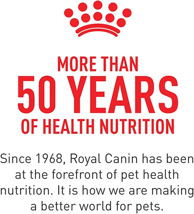 Royal Canin Feline Health Nutrition Kitten Dry Cat Food, 14 lb Bag