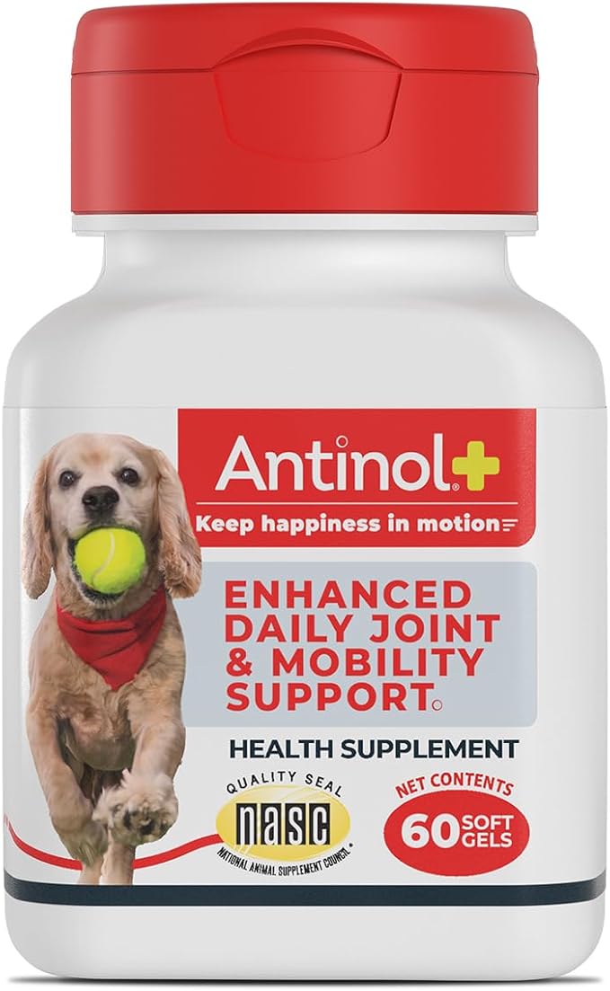 Antinol Plus, Mobility, Hip, and Joint Supplement for Dogs, Green-Lipped Mussels and Krill Oil - Dog Joint Supplement, Better and Faster Than Glucosamine and Chondroitin, 60 Soft Gels