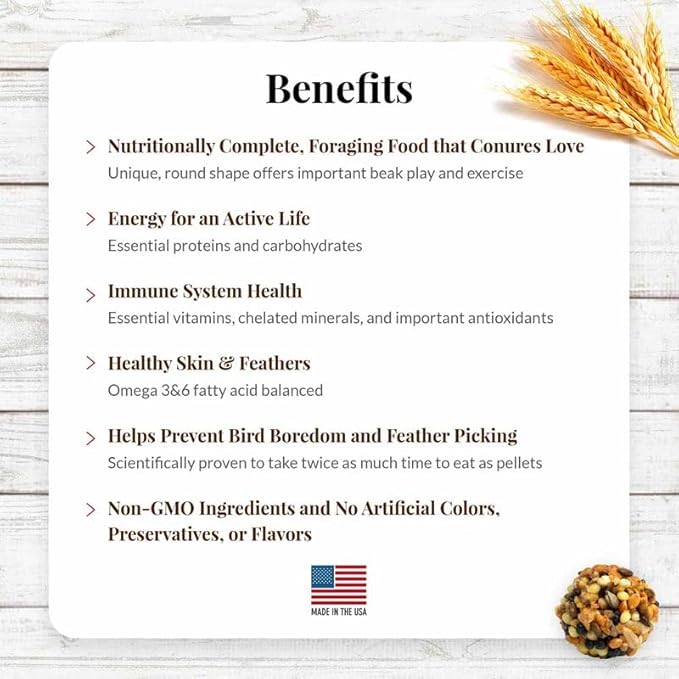 LAFEBER'S Classic Nutri-Berries Conure Food, Made with Non-GMO and Human-Grade Ingredients, for Conures (Classic 10 oz Pack of 2)