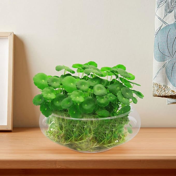 GANAZONO Glass Fish Bowl Small Fish Tank 9.84X9.84X3.93In Clear Desktop Aquarium Hydroponic Plant Pot for Home Office Garden Wedding Decoration