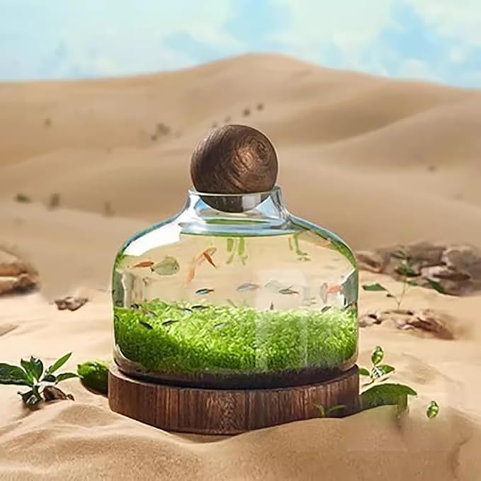 Glass Aquarium with Wooden Base, Transparent Wooden Fish Tank, Elegant Natural Betta Fish Tank, Clear HD Glass Goldfish Bowl, Aquaponics Fish Tank, Micro Landscape Culture Tank,L