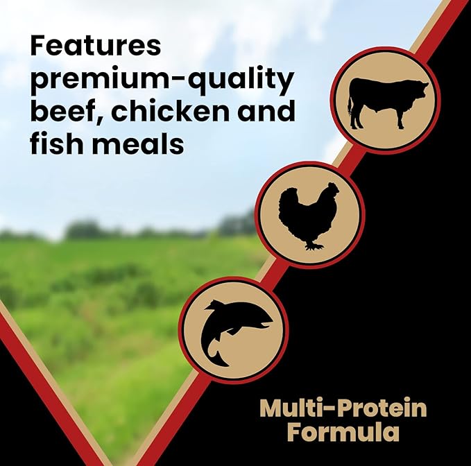 VICTOR Super Premium Dog Food – Purpose Nutra Pro – Gluten-Free, High Protein Low Carb Dry Kibble for Active Dogs of All Ages – Ideal for Sporting, Pregnant or Nursing Dogs & Puppies, 5lbs