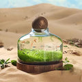 Glass Aquarium, Miniature Landscape Terrarium Glass Fish Tank with Wooden Base, Modern Betta Fish Tank, Small Aquarium for Home and Office Decoration,XL