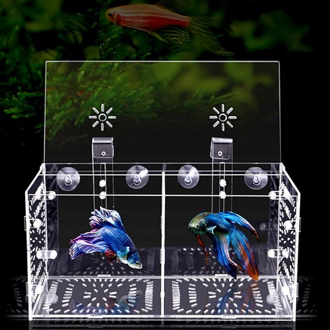 Fish Isolation Breeding Box Acrylic Incubator Floating Aquarium Hatchery Breeding and Parenting Box for Fish Aquarium(30CM*15CM*15CM)