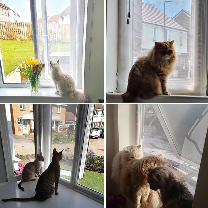 Cat Balcony Net Window Screen Mesh with Zipper Opening,Cat Safety Net Anti-Falling Netting for Balcony Window,Anti-Mosquito Insect Fly Screen Fiberglass Mesh (White,59x79inch)