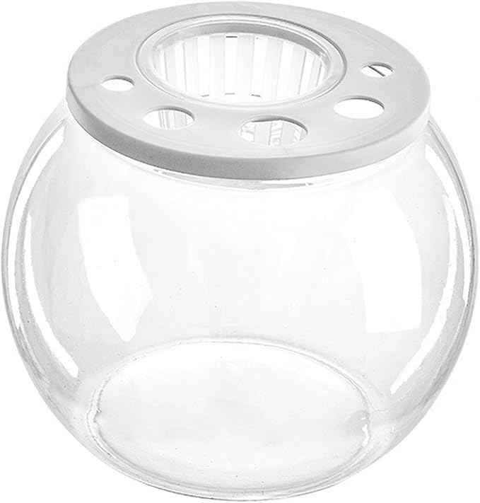 Aquarium Bowl Tabletop with Open Cover for DIY Micro Landscape in Cafe Dorm Room, Round