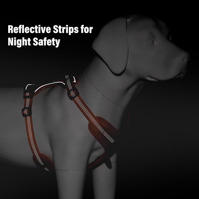 Plutus Pet No Pull Dog Harness, Release at Neck, Soft Padded, Reflective Adjustable Dog Vest Harness for Small, Medium, Large Dogs(Orange, S)