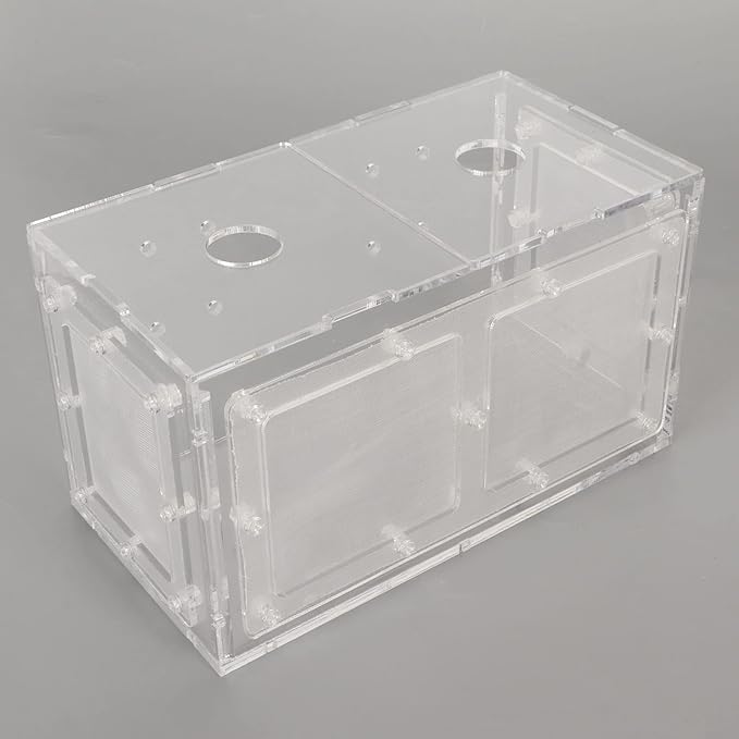 Fish Breeding Box, Acrylic Lid Web Page Fish Tank Incubator Protective Transparent for Aquarium Small Fish (17 * 9 * 10CM)
