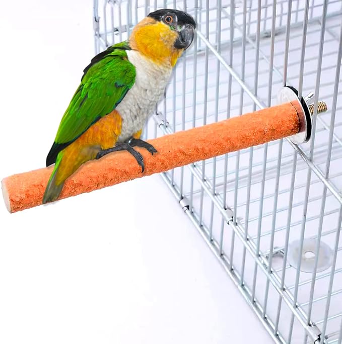 10 PCS Bird Perch Stand Toy, Colorful Wood Parrot Perch Stand, Natural Stand Paw Grinding Stick Exercise Toys, Bird Cage Accessories for Budgies, Finches, Parakeet, Small Birds
