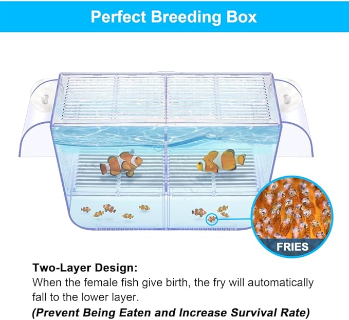 Fish Breeding Box Aquarium Holding Tank Transparent Fish Isolation Box Acclimation Hatchery Incubator Breeder for Betta Shrimp Clownfish Guppy(Size L)