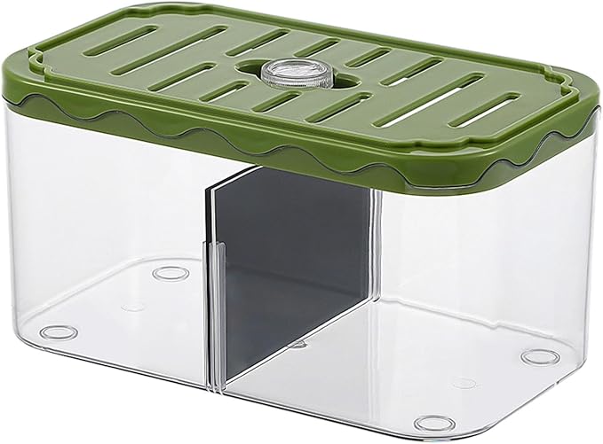 Small Fish Tank Aquarium Breeding Box Transparent Hatchery with Removable Divider for Clownfish Desktop, Green