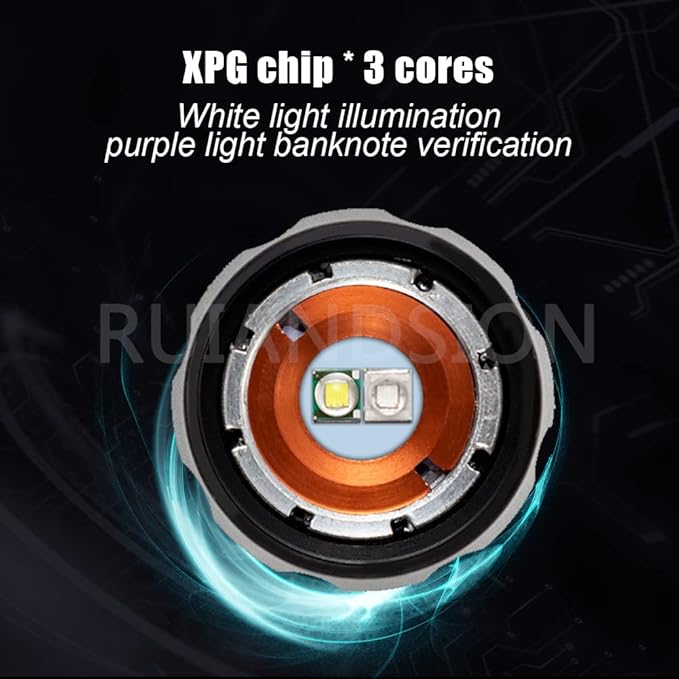 Ruiandsion UV Blacklight Flashlight, Super Bright UV and White Lights Flashlight Pet Dog Cat Urine Detector for Pet Urine Stains, Bed Bugs, Scorpions Finder and Outdoor Lighting