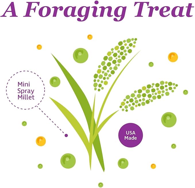 F.M. Brown's Tropical Carnival Natural Mini Spray Millet Foraging Treat for Canaries, Finches, Parakeets, Cockatiels, and Parrots, 4-oz Bag - USA Grown and Harvested