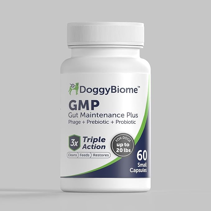 Animal Biome Gut Maintain Probiotics and Prebiotics for Dogs - Reduce Diarrhea Flareups - for Small Dogs (60 Capsules)