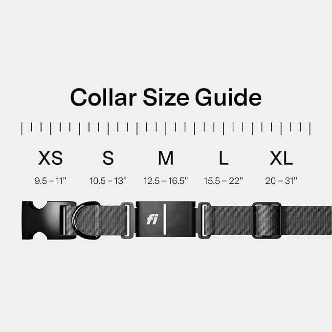 New Fi Series 3+ Smart Dog Tracker Collar [6 Month Membership Included] GPS Tracker for Dogs with Health & Behavior Monitoring, Escape Alerts, Waterproof, LED, Apple Watch Compatible (Gray, X-Large)