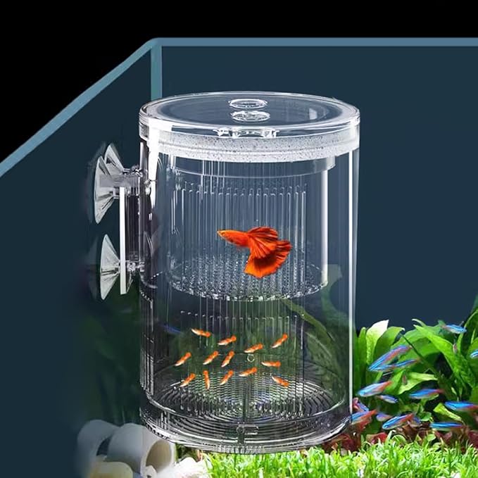 La La Pet Floating Fish Breeding Isolation Box with Suction Cups 270°Flowing Water Propagation Separate Parent and Baby Fishes Transparent Hatching Boxes Incubator for Tanks Large