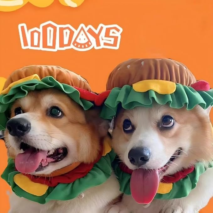 Soft Hamburger Hat Recovery Cone for Cats & Dogs - Funny Pet Collar Halloween Costume Hat for Small Pets