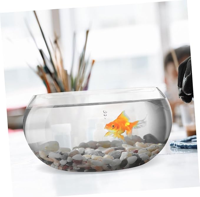Glass Fish Bowl Terrarium for Home Bubble Vase for Plants Goldfish High Transparency Desktop Aquarium for Fish Plant Lovers