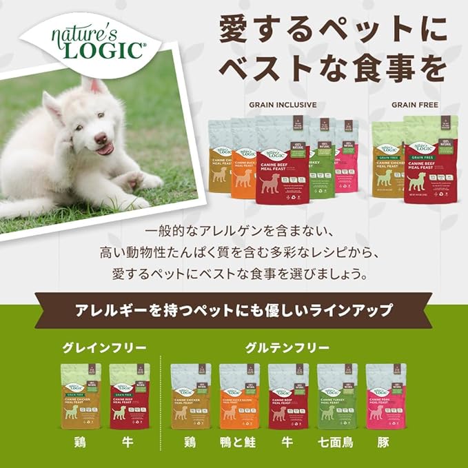 NATURE'S LOGIC Dry Dog Food - 100% Natural - No Synthetics - for All Ages, Sizes, Breeds - Free from Common Allergens, High Protein - Turkey Meal Feast, 4.4lbs