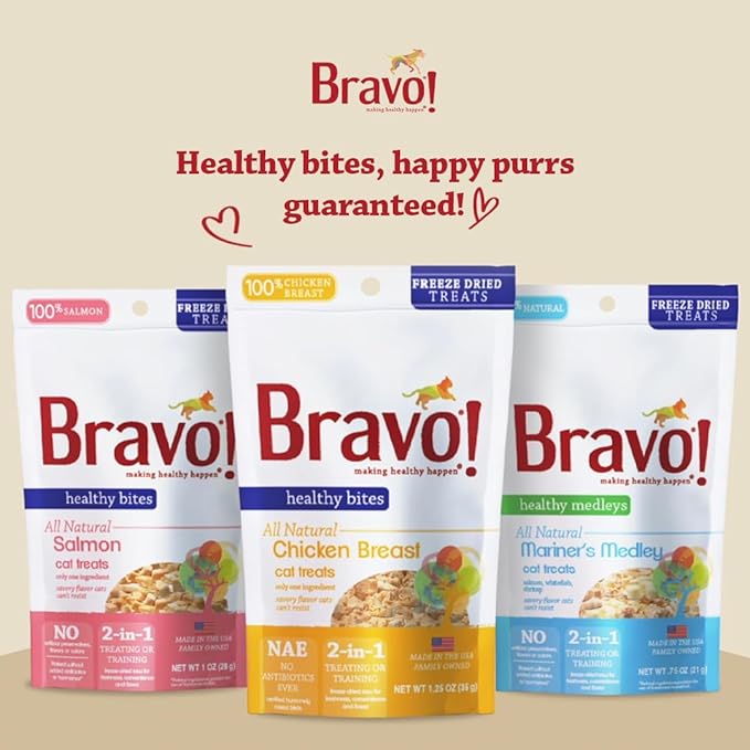 Bravo! Healthy Bites Single Ingredient Freeze Dried Raw Cat Treats, Salmon, 1 Ounce, High Protein, Grain Free, Gluten Free