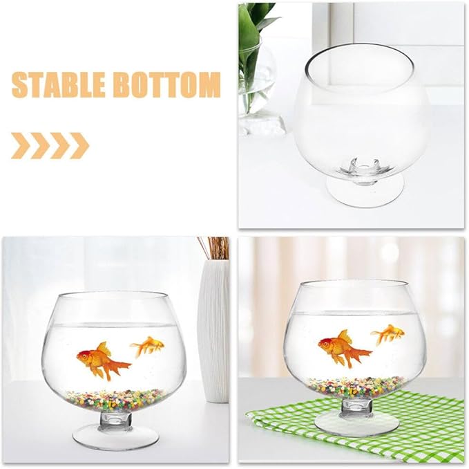 GANAZONO 2pcs Clear Desktop Fish Tank Transparent Betta and Aquarium for Office Decor Easy to Clean Planter Elegant Design for Home Office Use