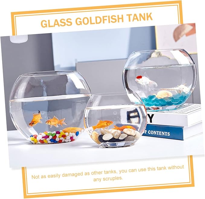 Flat Fish Tank Hydroponic Planter Glass Aquarium Glass Hydroponic Bowl Vase Water Plant Vase Betta Tank Fish Supplies Accessories Betta Household Products