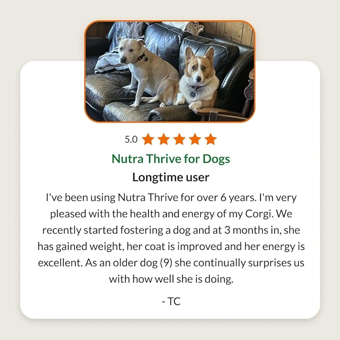 Ultimate Pet Nutrition Nutra Thrive Canine, 40-in-1 Nutritional Powder Supplement for Dogs with Digestion and Immune Support, Vitamins, Minerals, Probiotics, Enzymes, 30 Scoops