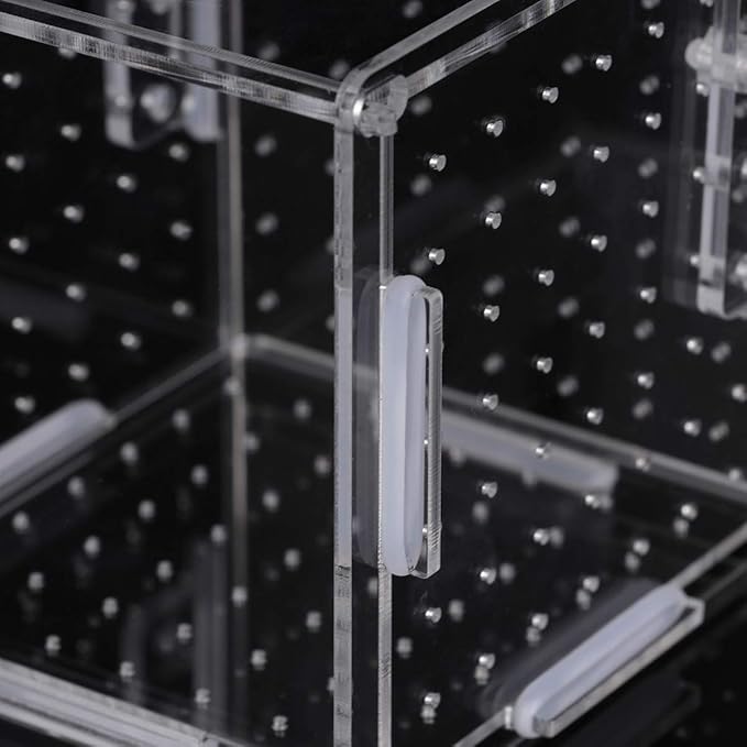POPETPOP Fish Breeding Box- Box Hatchery Incubator Aquarium Fish Breeding Boxes Divider Hatching Boxes Accessory for Small Shrimp Clownfish Guppy-Small Hook Pattern