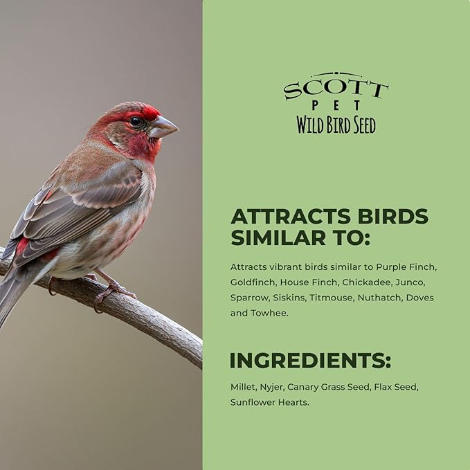Scott Pet Wild Bird Seed, Wild Finch Mix, 10 lbs Bag, Finch Feed, Contains Nyjer Seed, Great for Tube Feeders, Food for Outside Wild Birds