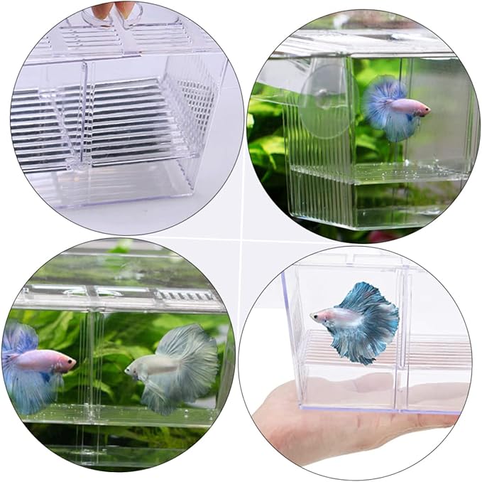 BESPORTBLE Floating Fish Incubation Box Observation Fry Breeding Tank Suction Cup for Aquarium
