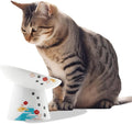 Necoichi Raised Cat Food Bowl – Ceramic Elevated 15° Tilted cat Bowl for Whisker & Neck Fatigue, Dishwasher & Microwave Safe, Non-Slip Anti-Vomiting Design (Fuji, Extra Wide Tilted, 1.5-Cups Capacity)