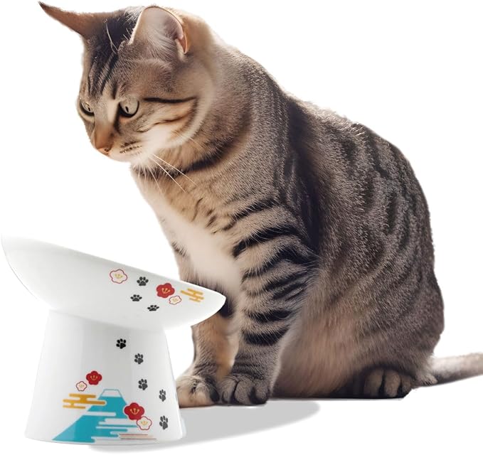 Necoichi Raised Cat Food Bowl – Ceramic Elevated 15° Tilted cat Bowl for Whisker & Neck Fatigue, Dishwasher & Microwave Safe, Non-Slip Anti-Vomiting Design (Fuji, Extra Wide Tilted, 1.5-Cups Capacity)