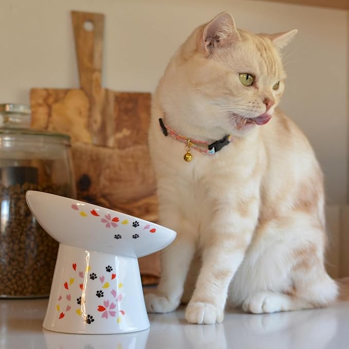 Necoichi Raised Cat Food Bowl – Ceramic Elevated 15° Tilted Bowl for Whisker Fatigue, Dishwasher & Microwave Safe, Non-Slip Anti-Vomiting Ergonomic Design (Sakura Floral, Extra Wide, 1.5-Cup Capacity)