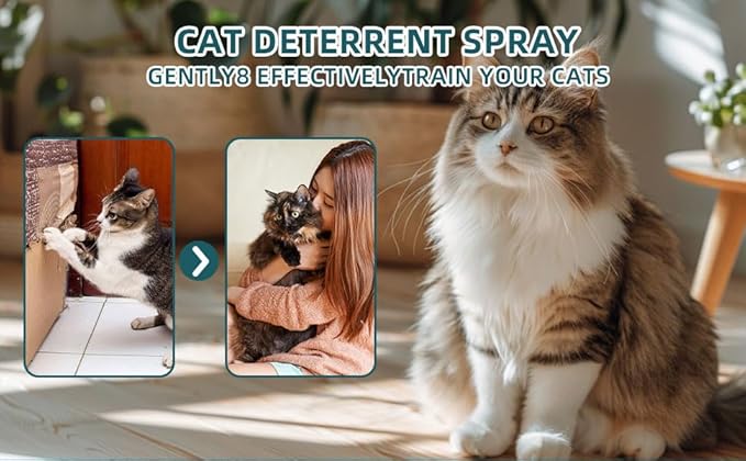 Cat Deterrent Spray - Safe Non-Toxic Anti-Scratch Repellent for Dogs and Kittens, Protects Furniture, Carpets, Curtains, Plants,Indoor and Outdoor Use,Natural Citrus Scent（2 * 100ML）