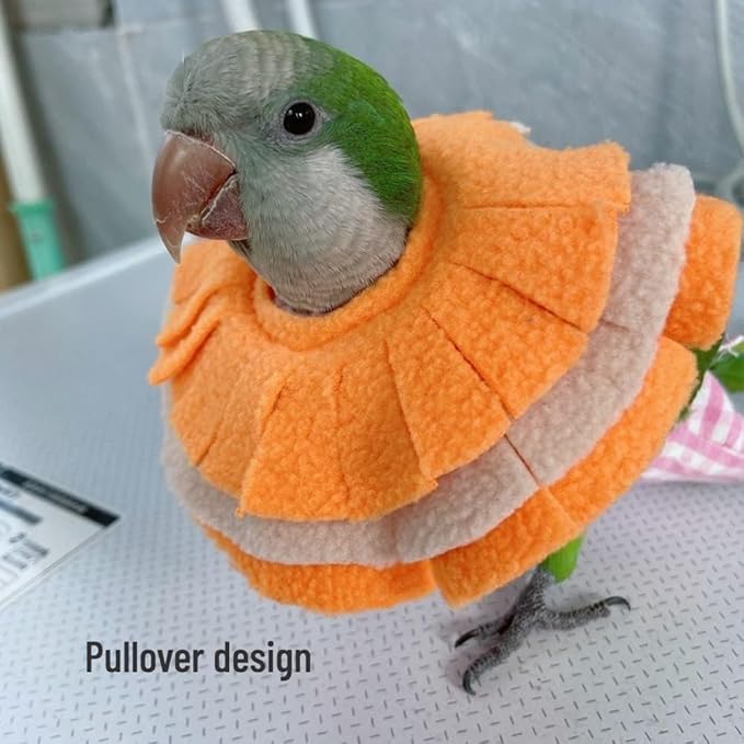 Bird Collar Anti Bite Elizabethan Recovery Cone, Bird Neck Protector for Feather Plucking, Bird Neckwear Full Body Shield for Parakeet Color Randomly (Senegal)