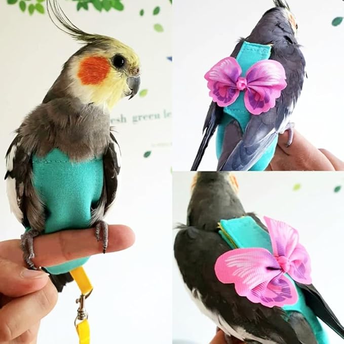 Escape-Proof Parrot Harness & Leash Set with Diaper - Adjustable Flight Suit with Bow & Safety Cord for Conures, African Grey, Parakeets, Doves (Pink-S)
