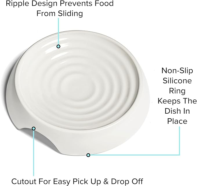 CatGuru Cat Bowls, Whisker Friendly Food Bowl for Indoor Cats, Reliefs Whisker Fatigue, Wide Kitten Dish, Non Slip Pet Dishes, Shallow Pet Plates (Ceramic (Pack of 2))