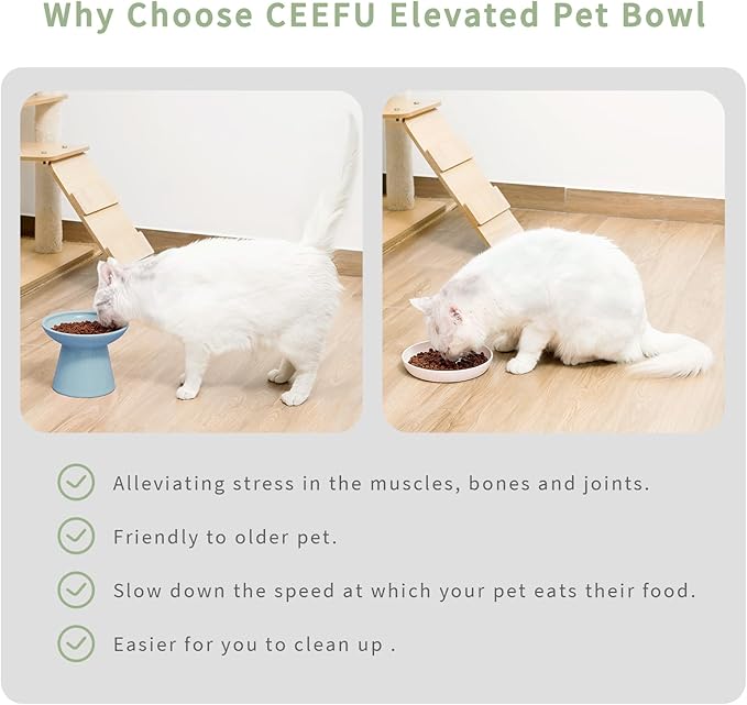 Extra Wide Elevated Ceramic Cat Water Bowl - 6.2" Deeper Dish for Whisker Fatigue Relief, 5" Height for Easy Feeding, Lead & Cadmium Free, Durable Raised Cat Bowls, Blue