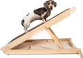 USA Made Adjustable Dog Ramp for All Dogs and Cats - Dog ramp for Couch or Bed with Paw Traction Mat - 40" Long and Adjustable from 14” to 24” - Rated for 200LBS - for Small and Big Dogs