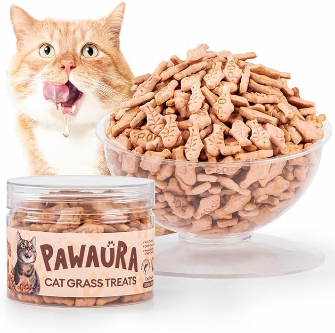 3.53oz Cat Grass Treats for Hairball Control – Natural Salmon & Cat Grass & Catnip Biscuits, Low-Calorie Healthy Snacks for Indoor Cats, Digestive & Dental Care