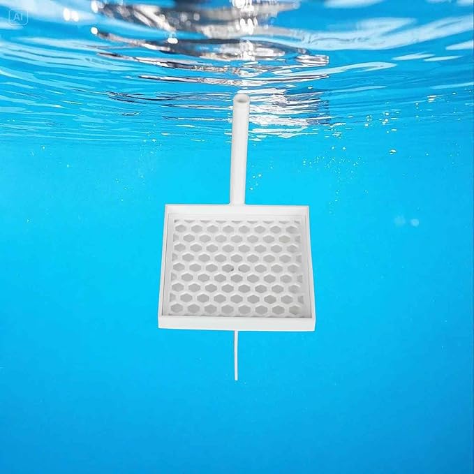 Hatchery Box Accessories for Fluval | Fish Egg Collector | Suitable for Egg-Laying Fish breeding | Bottom Grid Design | Can be Used with Sphagnum Moss | Viewing Window