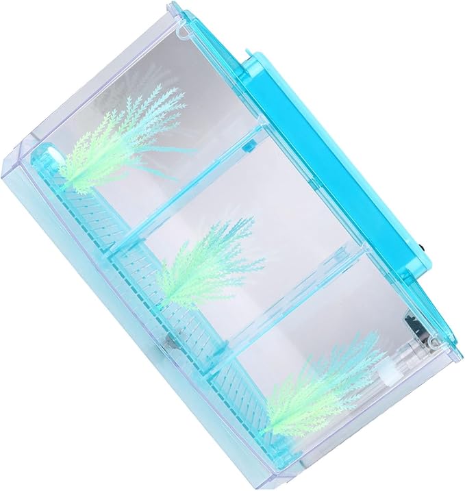 Fockety Breeding Fish Tank LED Acrylic, Three Divisions Isolation Box for Small Fishes with Artificial Grass, Water Change Valve and Filter Bubble Head with Activated Carbon (Blue)