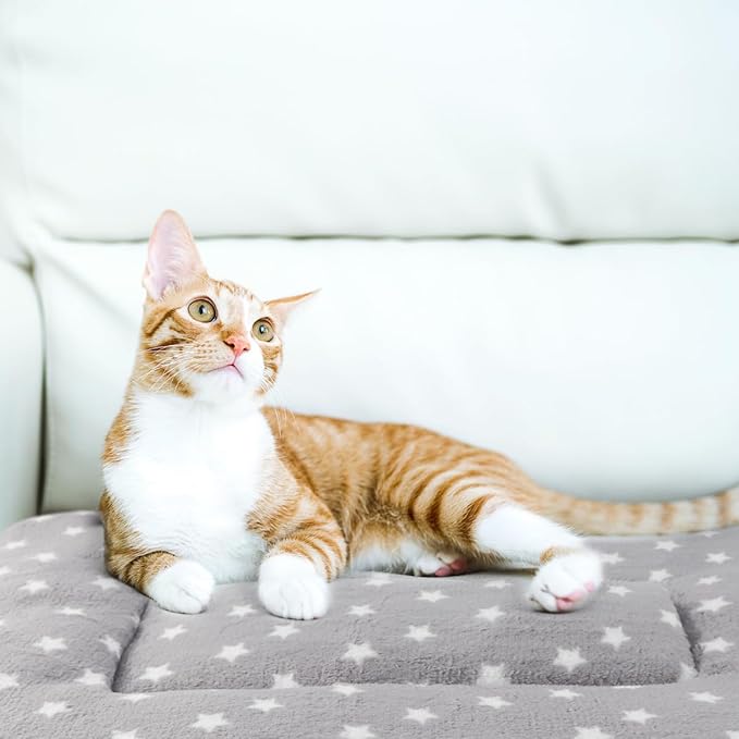 2 Pack Cat Blanket for Indoor Cats Ultra Soft and Warm Calming Cat Bed Fleece Pet Mat for Anxiety and Stress Washable Kitten Blanket