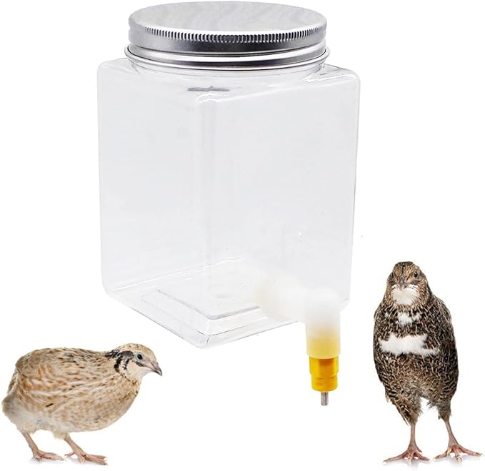 Button Quail Water Feeder Automatic Drinker with Versatile Nipple