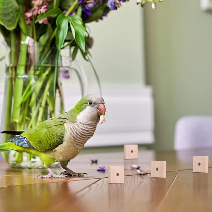 Housoutil Parrots Wooden Blocks, 100PCS Bird Toys, DIY Parrot Bite Wood Chips, Birds Cage Chewing Playing Training Toy for Cockatoos, Macaws, African Grey and Small Medium