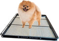 Little Wolves Puppy Potty Tray – 22x22 Shred-Proof Heavy-Duty Training Tray for Puppies & Small Dogs, Easy-Clean, Indoor Dog Pee Pad Holder (Small Gap)