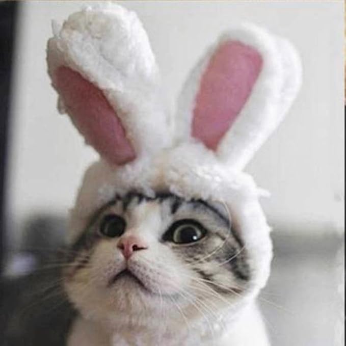 Cat/Dog Costume for Halloween, Parties and Pictures (Bunny)