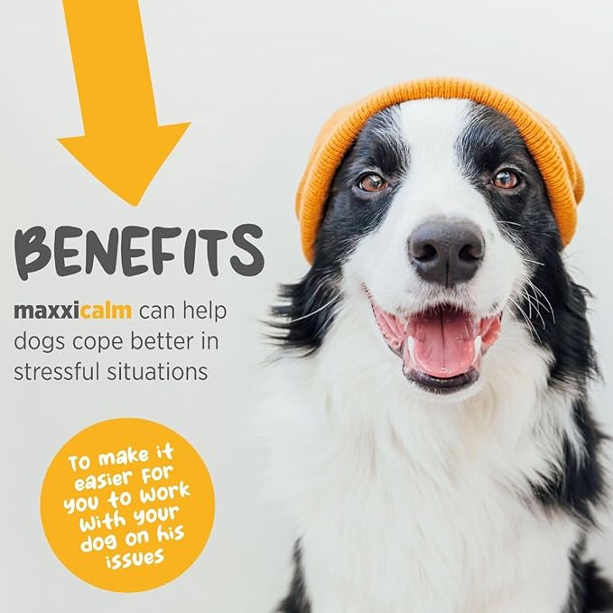 maxxipaws maxxicalm Natural Calming Supplement for Dogs (60 Tablets)