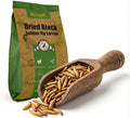 BeyondFeed™ Premium Dried Black Soldier Fly Larvae - High Calcium Supplement for Stronger Eggshells & Molting Recovery - Whole, Large Grubs (Superior to Mealworms) for Chickens, Ducks & Reptiles
