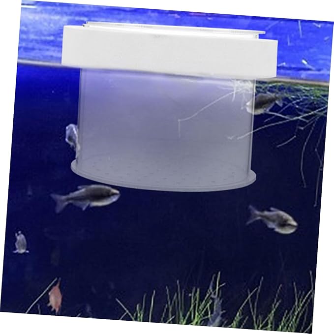 Acrylic Fish Isolation Box for Shrimp and Fry Breeding Separator Tank for Freshwater and Aquariums Easy to Observe and Install Breeding Container